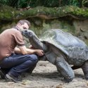 6 - Treffen Sie den Riesen Totoise