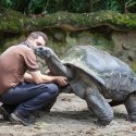 6. Riesenschildkröten der Insel Curieuse