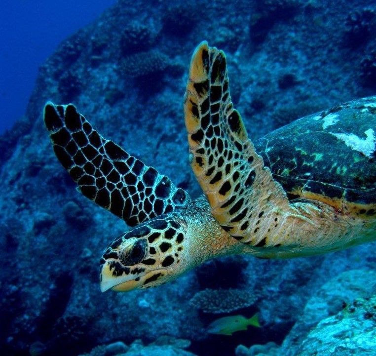 Aktivitäten auf den Seychellen