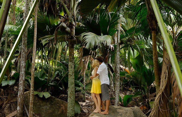 seychellen vallee de mai